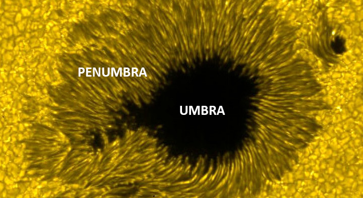 Ombra e penombra della macchia solare